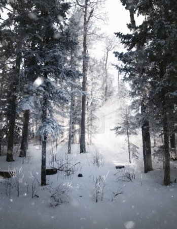 Téléchargez les photos : Un coup vertical de soleil rêveur derrière les arbres enneigés de la forêt - en image libre de droit
