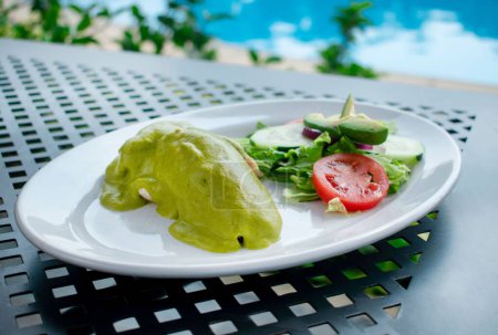 Téléchargez les photos : Un gros plan de poitrine de poulet recouverte de taupe verte, un plat mexicain - en image libre de droit