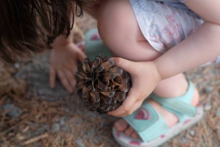 Photo for A little child playing with a conifer cone in her hands wearing cute sandals - Royalty Free Image