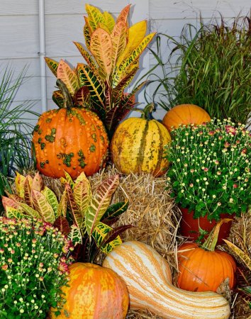 Photo for A vertical shot of colorful pumpkins and decorations, fall display with vegetables and greens - Royalty Free Image