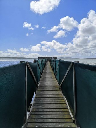 Photo for A vertical shot of a wooden walkway at the shore - Royalty Free Image