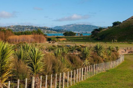 Foto de Un campo de hierba con una valla contra el cielo azul en Nueva Zelanda, Porirua City - Imagen libre de derechos