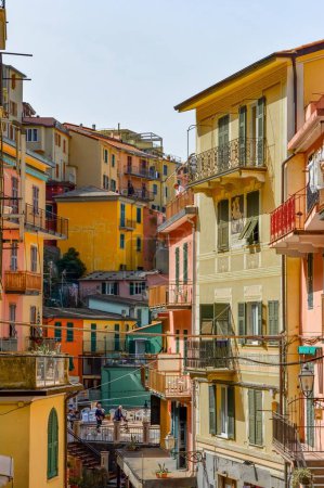 Foto de Un plano vertical de coloridas casas de Manarola en Cinque Terre, Italia - Imagen libre de derechos