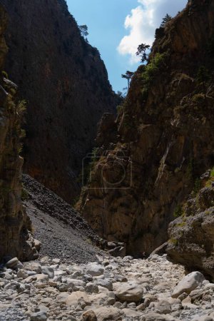 Photo for A vertical shot of the Samaria Gorge near Lakki, Crete - Royalty Free Image