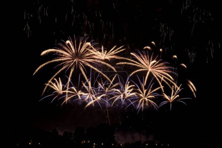Photo for A scenic shot of the bright fireworks against the dark night sky - Royalty Free Image