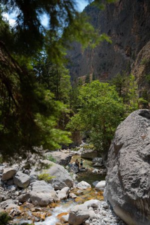 Téléchargez les photos : Un plan vertical de la gorge de Samarie près de Lakki, Crète, une petite rivière traversant - en image libre de droit