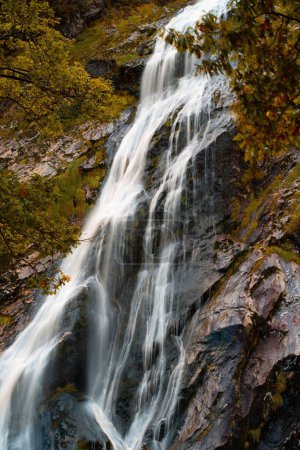 Photo for A vertical shot of the Powerscourt Waterfall in autumn in Portlaoise, County Laois, Ireland - Royalty Free Image
