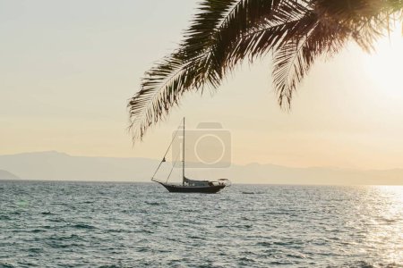 Téléchargez les photos : Une vue coucher de soleil d'un voilier dans les vagues bleues de la mer avec des branches de palmier suspendues dessus - en image libre de droit