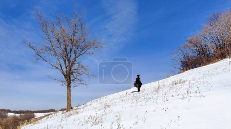 Foto de Una mujer de pie en un prado nevado junto a un gran árbol sin hojas bajo el cielo azul en un día soleado de invierno - Imagen libre de derechos