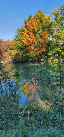 Téléchargez les photos : Une vue panoramique d'un lac reflétant les arbres colorés près - en image libre de droit