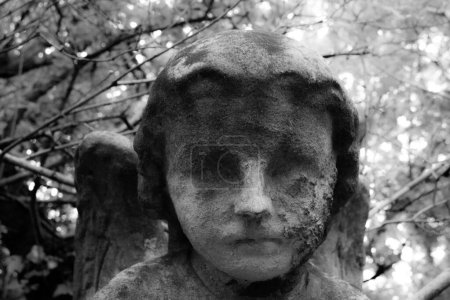 Téléchargez les photos : Un gros plan en niveaux de gris du visage d'une vieille statue d'un ange. - en image libre de droit