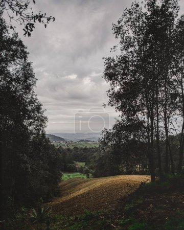 Téléchargez les photos : Un plan vertical d'arbres verts dans les collines sous un ciel nuageux - en image libre de droit