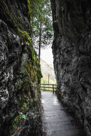 Téléchargez les photos : Plan vertical d'un sentier étroit entre de hautes roches avec des arbres en arrière-plan - en image libre de droit