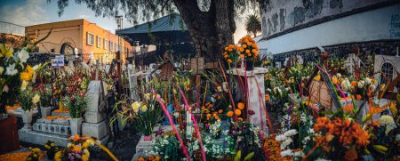 Foto de Las flores en la Ciudad de México para el desfile del Día de los Muertos - Imagen libre de derechos