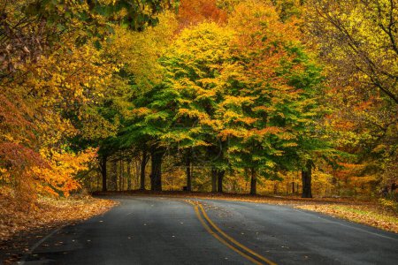 Foto de Una vista panorámica de un camino de asfalto cubierto de hojas caídas en el parque Cherokee en otoño - Imagen libre de derechos