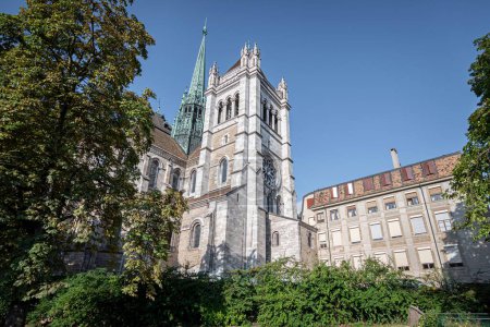 Téléchargez les photos : Cathédrale Saint-Pierre avec une végétation verte luxuriante sur fond de ciel bleu à Genève, Suisse - en image libre de droit