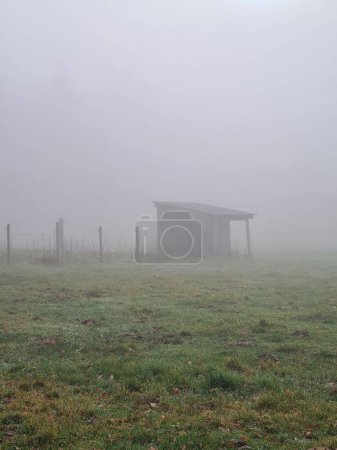 Photo for A vertical view of a small wooden building and a fence in a field covered with dense mist - Royalty Free Image