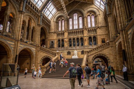 Foto de London, UK - August 24, 2022: Interior and exhibits of the Natural History Museum in London. - Imagen libre de derechos