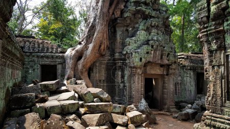 Foto de Un primer plano de un antiguo edificio bajo raíces de árboles en Krong Siem Reap, Camboya - Imagen libre de derechos