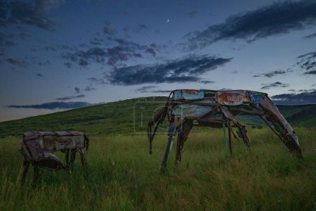 Téléchargez les photos : Les chevaux de métal dans la prairie verte dans la soirée. Glassford Hill, Prescott Valley, Arizona. - en image libre de droit