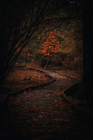 A vertical shot of a narrow pathway at a park with yellow fallen leaves on an autumn day