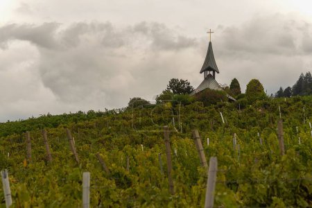 Photo for A small countryside church in the background of grapevines against the cloudy sky - Royalty Free Image