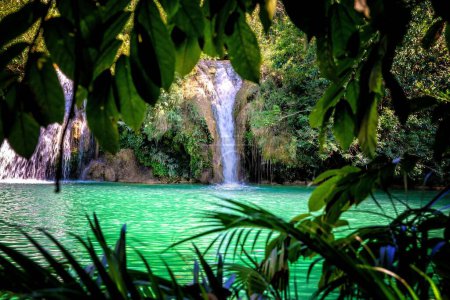 Téléchargez les photos : Un beau cliché d'une cascade dans une forêt au Mexique - en image libre de droit