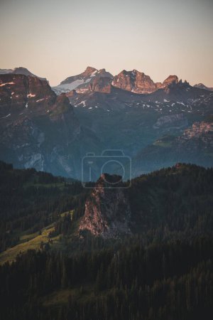 Téléchargez les photos : Un plan vertical d'une belle chaîne de montagnes avec des silhouettes de pins au premier plan au coucher du soleil - en image libre de droit