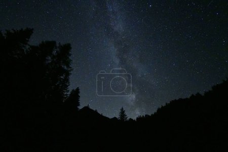 Téléchargez les photos : Une silhouette d'arbres sous la Voie lactée bénie dans le ciel - en image libre de droit