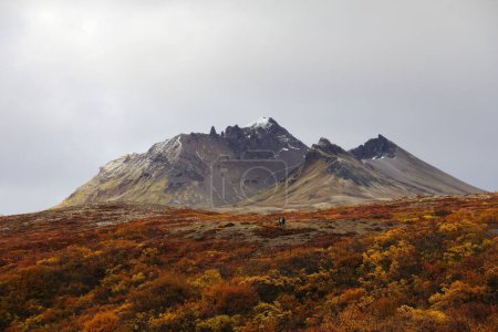 Foto de Un hermoso paisaje de paisaje de montaña en Islandia durante el otoño - Imagen libre de derechos