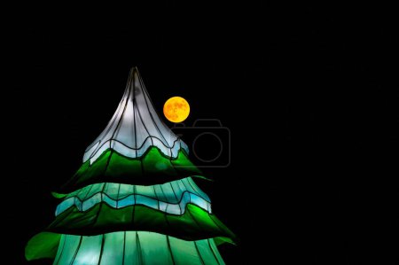 Foto de Un primer plano de un abeto verde iluminado por la noche en un parque contra la luna llena - Imagen libre de derechos