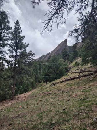 Foto de Una ladera montañosa con árboles pintorescos y rocas en un día sombrío - Imagen libre de derechos