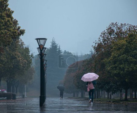 Foto de Popele con sombrillas caminando en un parque con árboles en un día lluvioso - Imagen libre de derechos