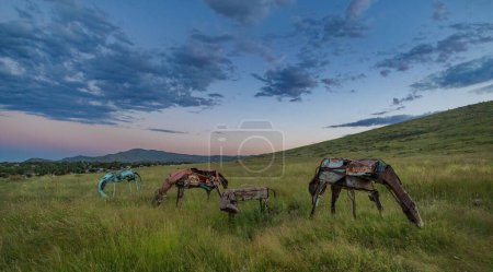 Téléchargez les photos : Les quatre chevaux en métal dans la prairie verte pendant l'heure bleue. Glassford Hill, Prescott Valley, Arizona. - en image libre de droit