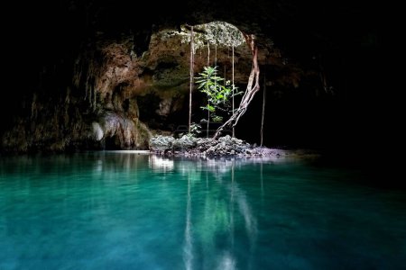 Téléchargez les photos : Un beau cliché d'une grotte de Two Eyes Cenote à Tulum Mexique - en image libre de droit