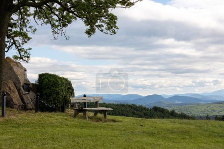 Téléchargez les photos : Une belle vue d'un banc en bois sur une colline avec de l'herbe fraîche sous le ciel nuageux - en image libre de droit