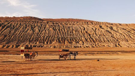 Foto de Los carruajes con caballos en un desierto con colinas arenosas en el fondo en un día soleado - Imagen libre de derechos