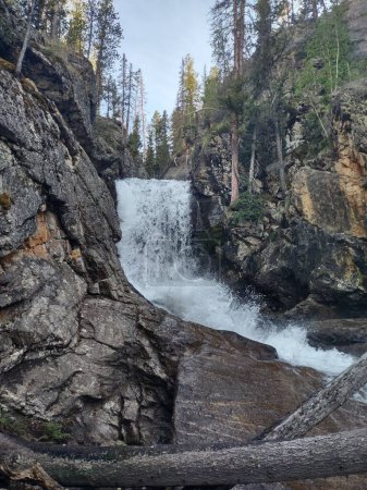 Téléchargez les photos : Un plan vertical d'une belle cascade au-dessus des rochers à travers la forêt - en image libre de droit