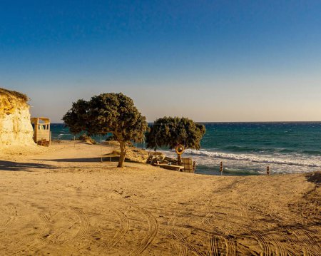Foto de Un hermoso tiro de dos árboles en una bonita playa de arena del mar Egeo en la isla de Kos, Grecia - Imagen libre de derechos
