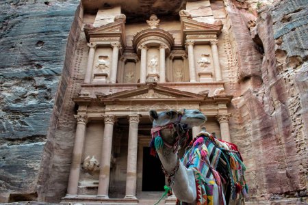 Foto de Un camello de pie contra un monasterio en Petra, Jordania - Imagen libre de derechos