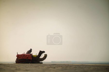 Foto de Un camello con sus dueños en el desierto - Imagen libre de derechos