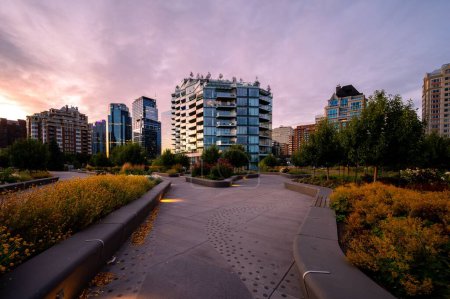 Téléchargez les photos : Bâtiments résidentiels près d'un parc urbain au lever du soleil à Calgary (Alberta). - en image libre de droit