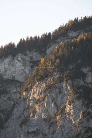 Téléchargez les photos : Vue verticale des falaises avec des arbres verts sur le fond du ciel. - en image libre de droit