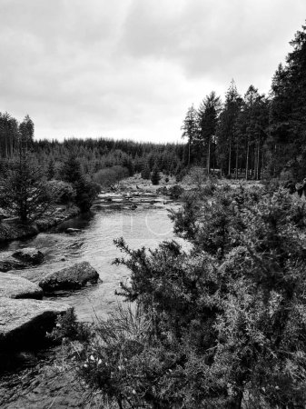 Photo for A black and white view of a river in Dartmoor - Royalty Free Image