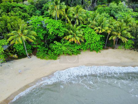 Téléchargez les photos : Une vue de drone de la plage de sable Ellis de la mer azur contre les arbres - en image libre de droit