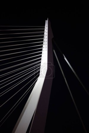 Téléchargez les photos : Détail architectural nocturne éclairé de l'infrastructure du pont Erasmus dans la ville portuaire néerlandaise Rotterdam avec ses cordes de câble visibles - en image libre de droit