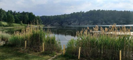 Téléchargez les photos : Vue panoramique d'un lac entouré de forêts de feuillus - en image libre de droit