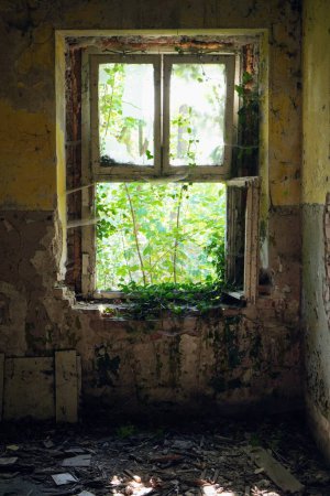 Foto de Un disparo vertical de una ventana rota en un edificio abandonado - Imagen libre de derechos