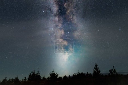 Téléchargez les photos : Une silhouette d'arbres sous la Voie lactée bénie dans le ciel - en image libre de droit