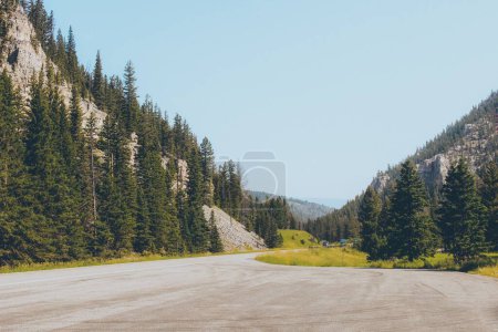 Téléchargez les photos : Vue panoramique d'une route dans les bois entourée de forêts luxuriantes et de montagnes à la lumière du jour - en image libre de droit